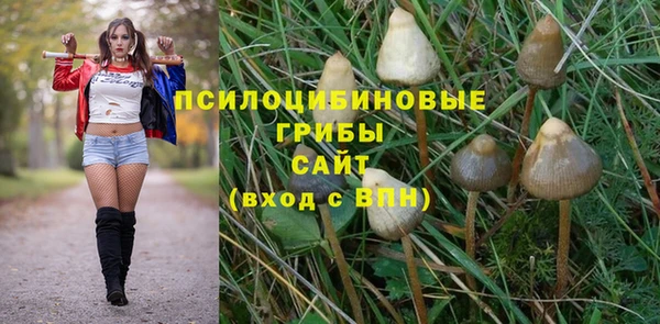 винт Бронницы