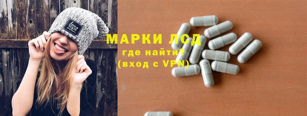 мдпв Бородино