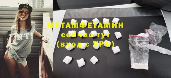 индика Верхний Тагил