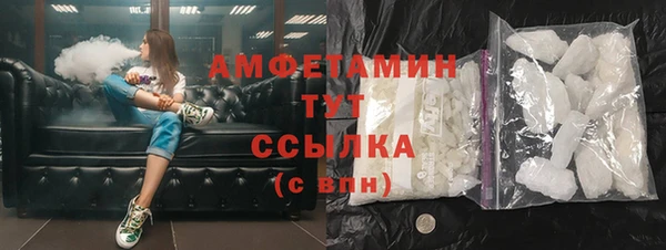 мдпв Бородино