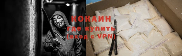мдпв Бородино