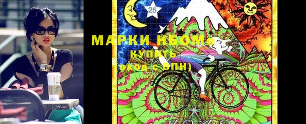 мдпв Бородино
