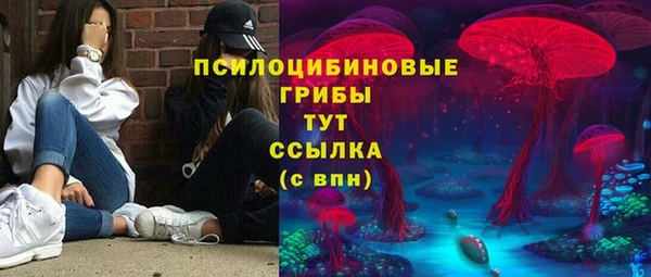 крисы Верхнеуральск