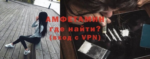 мдпв Бородино